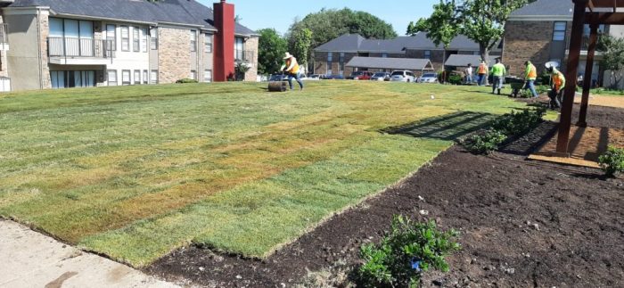 Best Commercial Landscaping Services Company in Fort Worth, TX