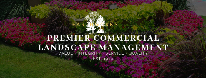 Best Commercial Landscaping Services Company in Irving, TX