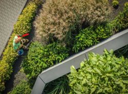 Best Commercial Landscaping Services Company in Arlington TX