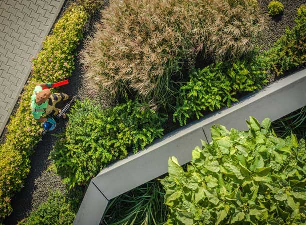 Best Commercial Landscaping Services Company in Dallas, TX