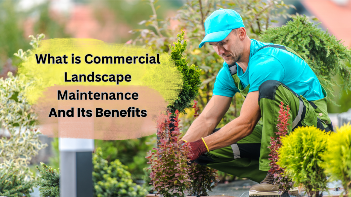 What Is Commercial Landscape Maintenance And Its Benefits