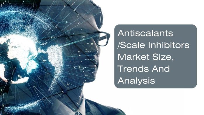 Antiscalants/Scale Inhibitors Market Size, Trends And Analysis