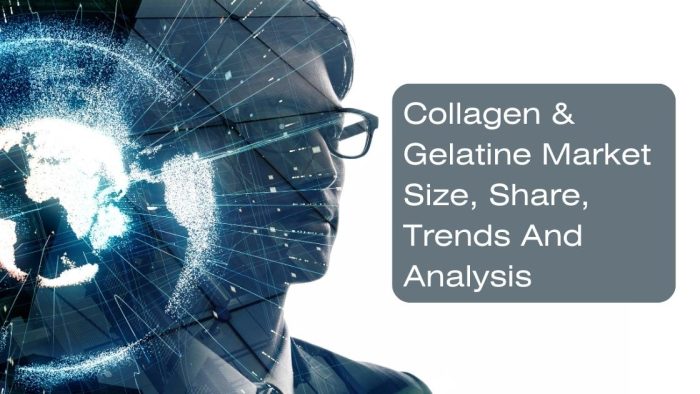Collagen & Gelatine Market Size, Share, Trends And Analysis