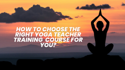 How To Choose Right Yoga Teacher Training Course For You?