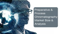 Preparative & Process Chromatography Market Size & Analysis