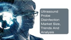 Ultrasound Probe Disinfection Market Size, Trends And Analysis
