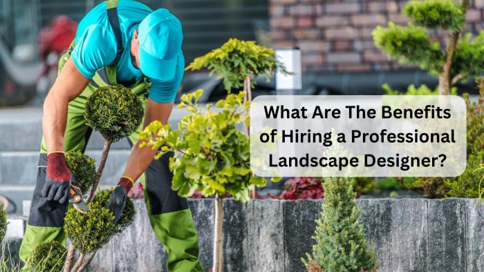 The Benefits Of Hiring A Professional Landscape Designer