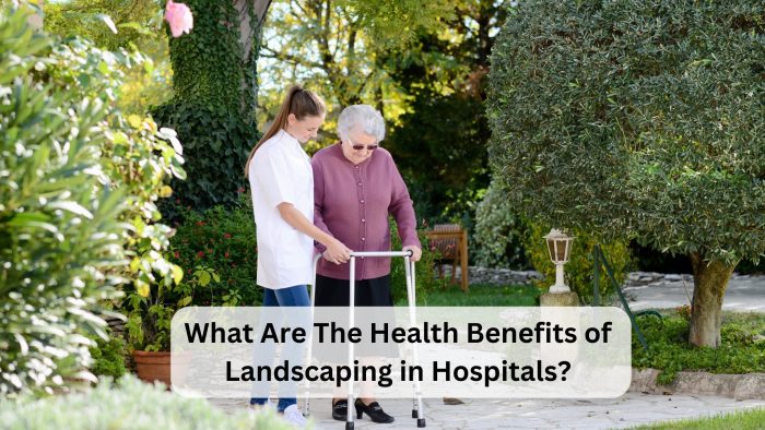 What Are The Health Benefits Of Landscaping In Hospitals?