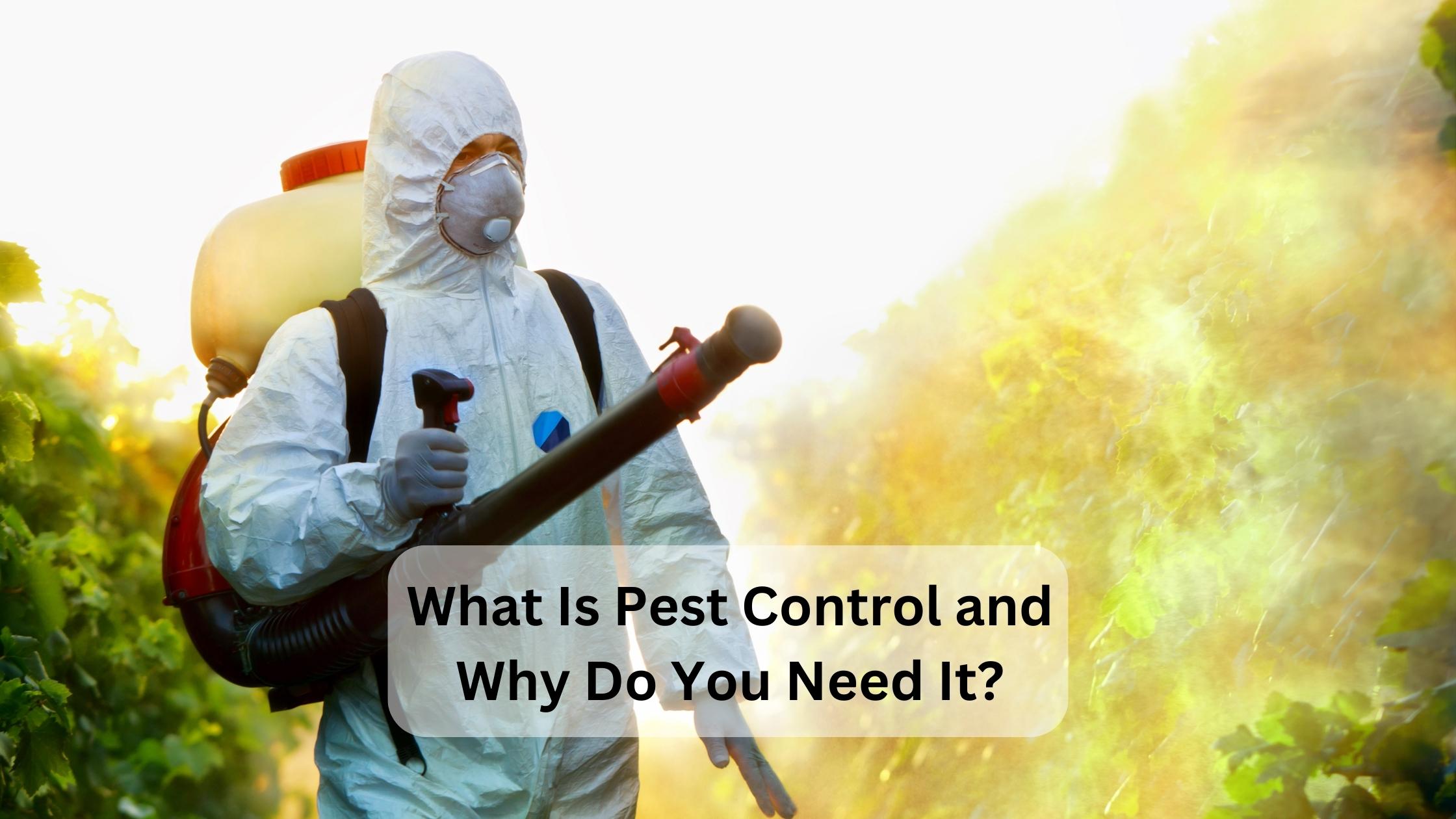 What Is Pest Control And Why Do You Need It? - Pin To Earn