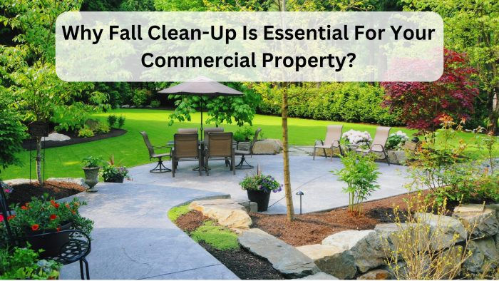 Why Fall Clean Up Is Essential For Your Commercial Property?