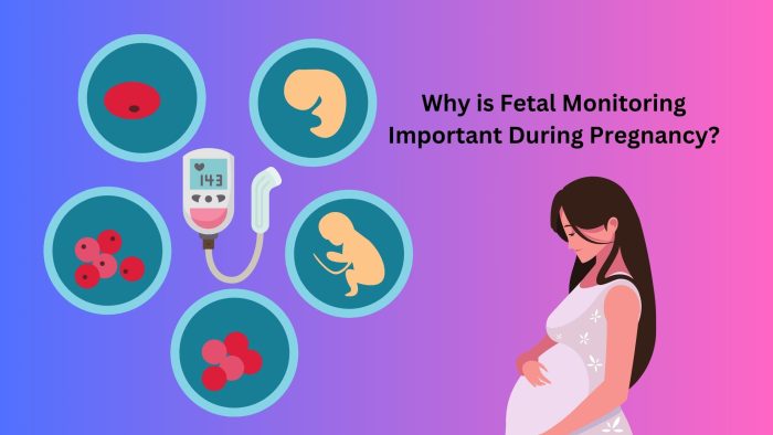 Why Is Fetal Monitoring Important During Pregnancy?