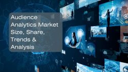 Audience Analytics Market Size, Share, Trends & Analysis
