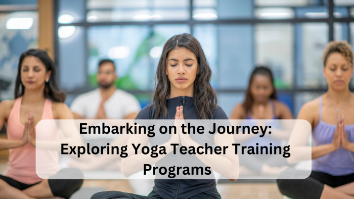 Exploring Yoga Teacher Training Programs – Embarking Journey