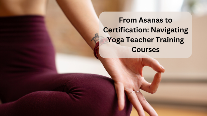 From Asanas to Certification: Yoga Teacher Training Courses