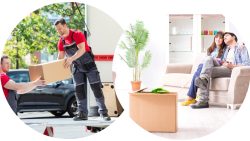 Professional Packers and Movers in DFW – Fireman Movers