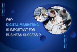 Why Digital Marketing Is Important For Business Success ?