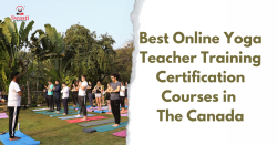 Best Online Yoga Teacher Training Courses in The Canada
