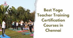 Best Yoga Teacher Training Certification Courses in Chennai