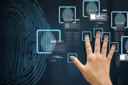 The Role Of Automated Fingerprint Identification