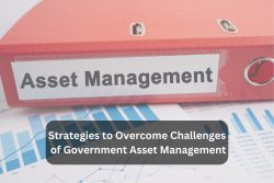 Strategies To Overcome Challenges Of Government Asset Management