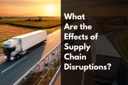 What Are The Effects Of Supply Chain Disruptions?