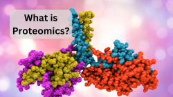 What Is Proteomics?