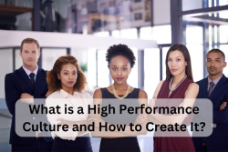 Building a High Performance Culture: Strategies for Success