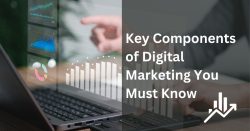 Key Components Of Digital Marketing You Must Know