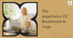 The Importance Of Breathwork In Yoga
