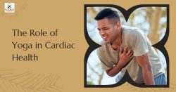 The Role of Yoga in Cardiac Health