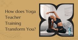 How to Start Your Yoga Career with AYUSH Certification