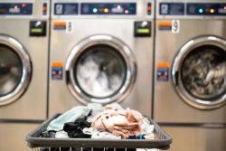 Trusted Commercial Laundry Equipment Supplier In Biloxi, MS