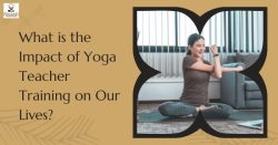 What is the Impact of Yoga Teacher Training on Our Lives?