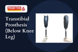 Below Knee Prosthesis Limbs (Transtibial) Products