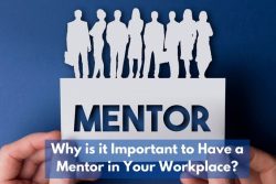 Why Is It Important To Have A Mentor In Your Workplace?