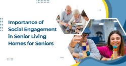 Importance Of Social Engagement For Seniors
