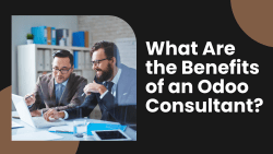 What Are The Benefits Of An Odoo Consultant?