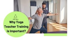 Why Yoga Teacher Training Is Important?