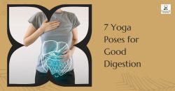 Top 7 Yoga Poses for Good Digestion