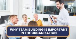 Why Team Building is Important in the Organization?