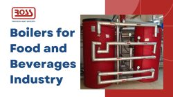 Boilers for Food and Beverages Industry – Ross Thermal