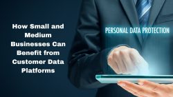 How Small And Medium Businesses Can Benefit From Customer Data Platforms