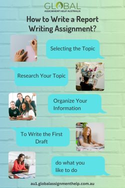 Write a Report Writing Assignment