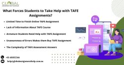 What Forces Students to Take Help with TAFE Assignments?