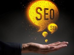 Local SEO Agency In Houston, TX | Local SEO Services