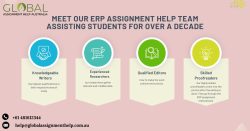 Top-Quality ERP Assignment Help Online for Students