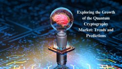 Growth Of The Quantum Cryptography Market: Trends & Predictions