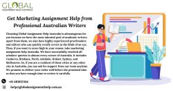 Expert Marketing Assignment Help for Academic Success