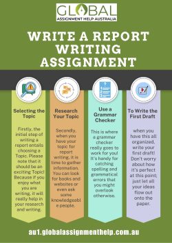 Write a Report Writing Assignment