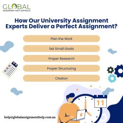 Expert University Assignment Help | High-Quality Academic Support